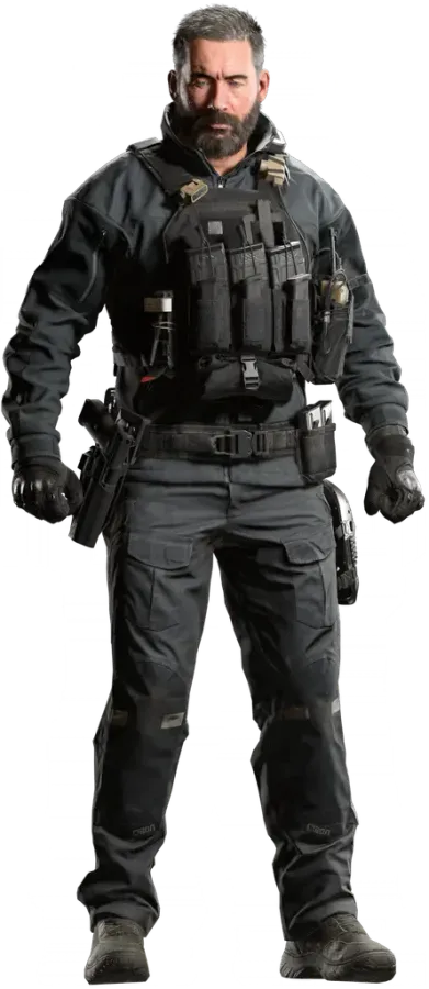 Price in the Default skin